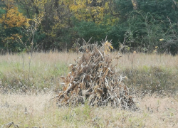 В четверг в Молдове будет тепло и без осадков 