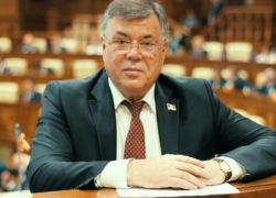 Реницэ и Арсени рвутся в парламент под крылом Цыку