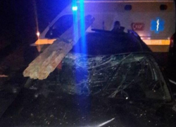 В Рышканском районе автомобиль врезался в повозку – двое госпитализированных, лошадь погибла на месте 