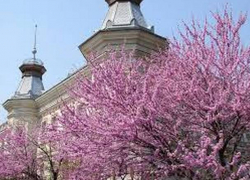 В понедельник в Молдове будет тепло и пасмурно 