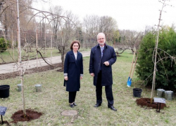 Санду занялась с президентом Латвии посадкой деревьев