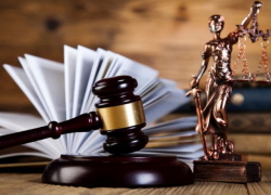 Адвокат Дмитрия Торнера предоставил подтверждение отсутствия у него судимостей, - документ