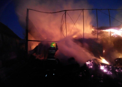 Подробности пожара в Новоаненском районе: часть животных и дом удалось спасти