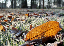 И снова заморозки! Погода в Молдове на среду 