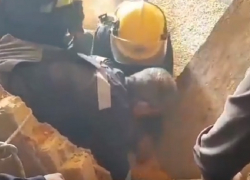 Житель Комрата оказался в кукурузной могиле