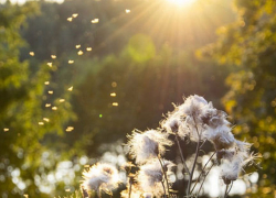 В четверг в Молдове будет солнечно и ветрено 