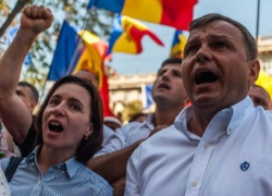 ПДС и Платформа DA прикрывают бандитов и олигархов, - Цырдя 