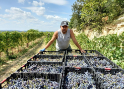 В отпуск - в Италию на работу. Примар села Заим вынужден трудиться круглый год