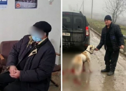 "Я больше не буду". Мужчину-живодера из Трушен вызвали в полицию, и он не смог внятно объяснить причины своего жестокого отношения к собаке