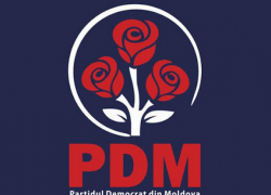 У ДПМ - шесть новых вице-председателей, в том числе и Шаров с Пынзарем