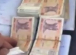 Сотни тысяч леев, найденных в домах и автомобилях мошенников, показали на видео 