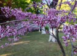 1 Мая дождей в Молдове не ожидается 