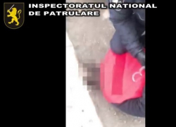 Полицейские уложили «мордой в асфальт» автохама