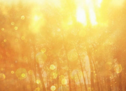 В Молдове объявлен «оранжевый» уровень метеоопасности