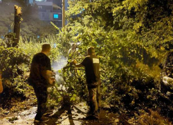 На Кишинев обрушилась стихия – из-за обрыва проводов погиб молодой мужчина 