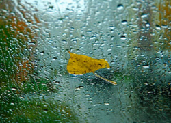 На Молдову идут дожди и похолодание 