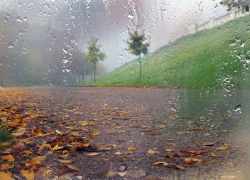 А вот и заморозки! Во вторник в Молдове будет прохладно и ветрено