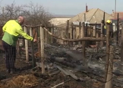 Массовое уничтожение коз братьев-близнецов произошло под Кагулом