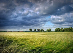В субботу в Молдове будет пасмурно и ветрено 