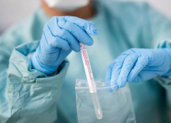 В Молдове выявлено 1255 новых случаев COVID-19   