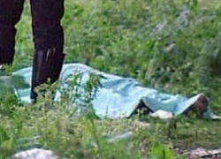 Жестоко убитыми обнаружили молдавских мигрантов в поле под Москвой