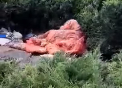 В Кишиневе неизвестные занялись непотребством прямо на улице при всех