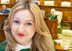Бывший депутат партии «Шор» Мария Албот поведала о своей зарплате