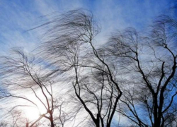 "Из огня да в полымя". В Молдове с 6 на 7 августа объявлен желтый код