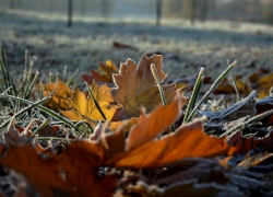 Среда в Молдове будет пасмурной и холодной  