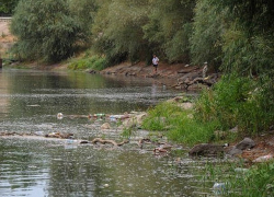 В запрещенном месте для купания у моста в Днестре утонул мужчина 