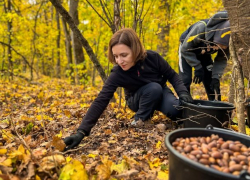 Делайте что-то приятное, не ходите на митинги, - Гросу