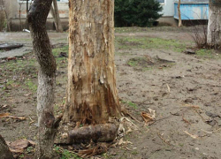 Загадочно появившаяся бомба рядом с детской площадкой перепугала жителей в Кагуле 