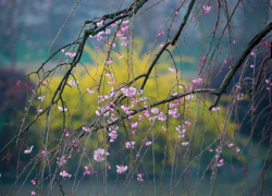 В воскресенье погода изменится – объявлен желтый код предупреждения