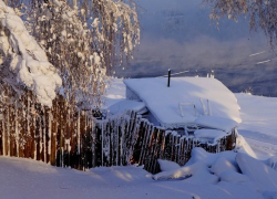 Уроженца Молдовы осудили за убийство в Нижегородской области… через 18 лет 