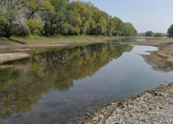 Гидроузел смерти: из-за Украины Днестр полностью обмелел ниже Наславчи