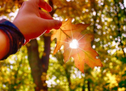 В четверг в Молдове будет по-летнему тепло  