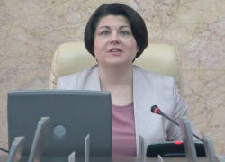 Гаврилица разнесла членов правительства из-за незапущенного сайта о дровах