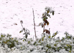 Погода меняется – в выходные в Молдове немного потеплеет 