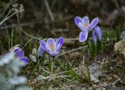 Во вторник в Молдове будет по-весеннему тепло и солнечно 