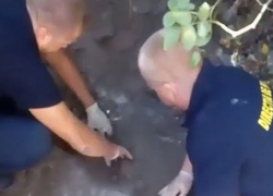 Уставший от одиночества мужчина совершил изощренное самоубийство в Ниспоренском районе