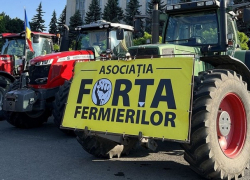 Фермеры Молдовы готовятся к новым протестам: Государство игнорирует кризис в сельском хозяйстве