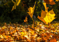Понедельник в Молдове будет дождливым 