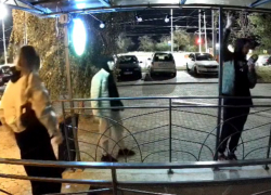 Позорная кража лампочек девушкой на одной из террас попала на видео