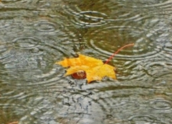 В субботу в Молдове будет пасмурно, на юге возможны дожди 