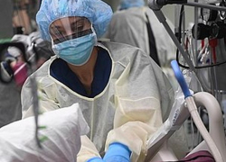 В Молдове выявлено 302 новых случая COVID-19 за сутки 