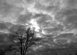 В воскресенье в Молдове будет пасмурно