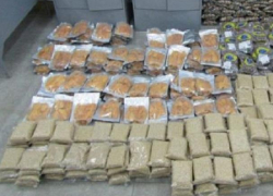 Молдаванин попытался провезти 400 кг орехов контрабандой в Беларусь, но был задержан