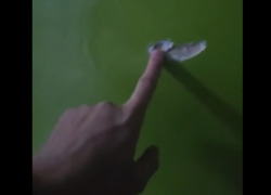 "Праздничная" стрельба в здании полиции закончилась увольнениями - заявление ГИП