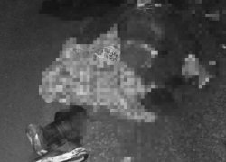 Полиция разыскивает водителя, сбившего насмерть пешехода