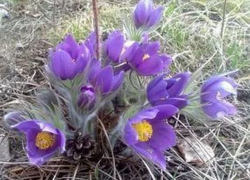 В новых теплых носках и трусах встретят мужчины 23 февраля